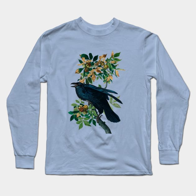 Raven from Birds of America by John James Audubon Long Sleeve T-Shirt by Dystopianpalace